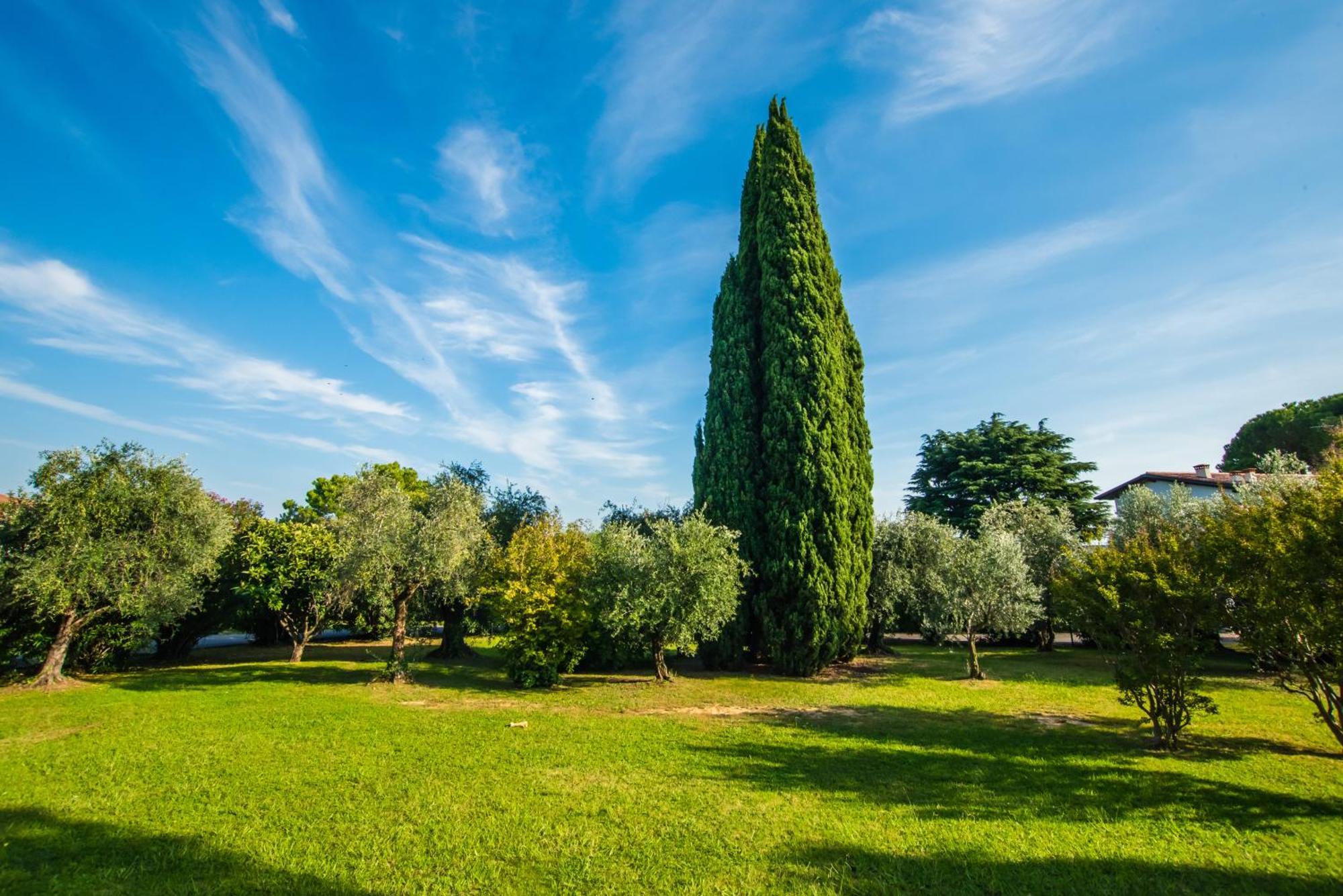 Marialuisa'S Home - Residence Gardoncino Manerba del Garda Esterno foto